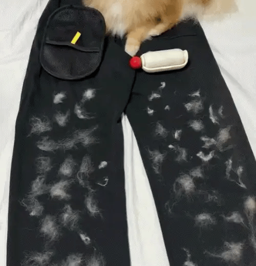 Fur Erase™ Fur Remover