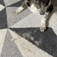 Fur Erase™ Fur Remover